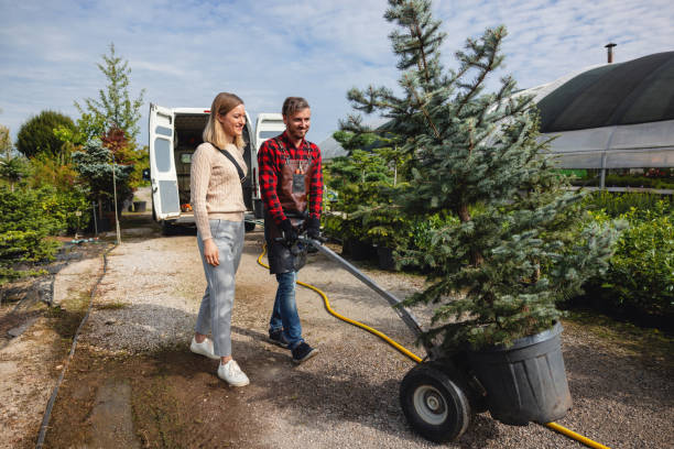 Professional Tree Services in Pioneer, CA